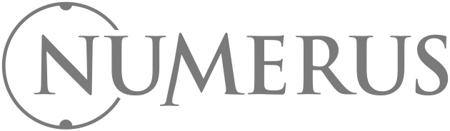 Numerus WebKit Apps logo